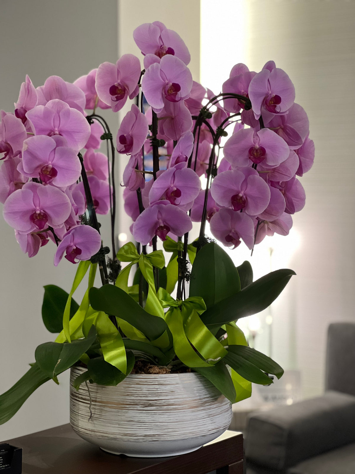 Elegant Orchid Planter - Timeless Beauty for Your Space- orchid plant-gift