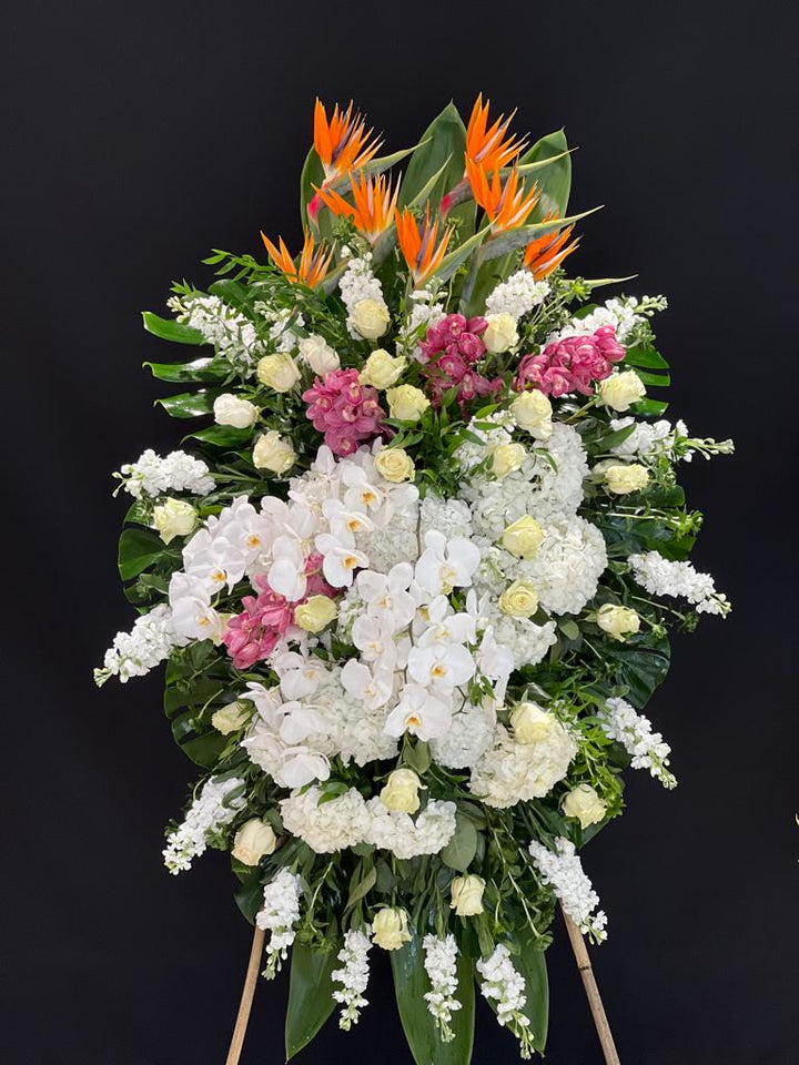 Luxurious Tribute (23-112) - Yonge Florist