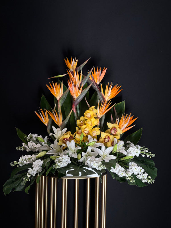 Bird of Paradise and Orchid Arrangement (23-136)